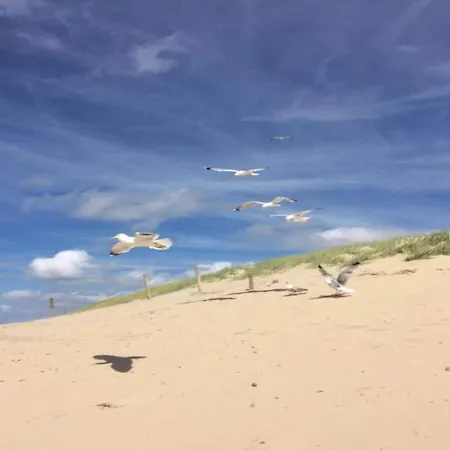 アパート In Dutch Coast With Access