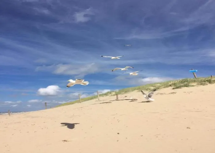 Appartement In Dutch Coast With Access