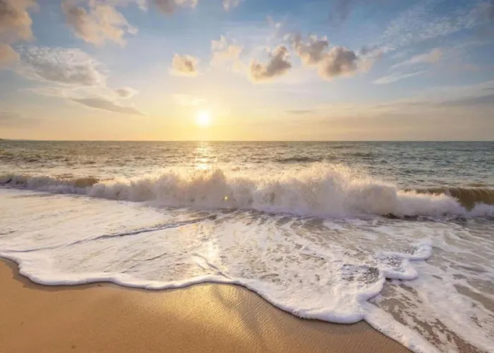 In Dutch Coast With Access Appartement