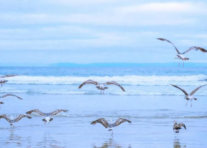 Appartement In Dutch Coast With Access Julianadorp